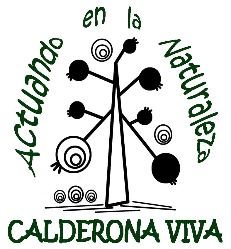 Logo Calderona Viva