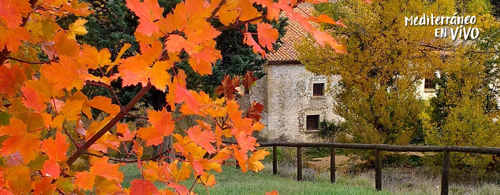 Autumn in the Penyagolosa in the province of Castellón